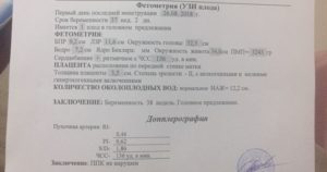 Фетометрия плода в 37 38 недель