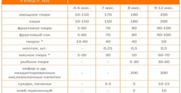Со скольки месяцев можно давать пюрешки ребенку