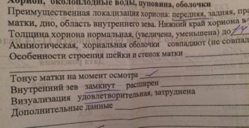 Хорион по задней стенке что это значит при беременности